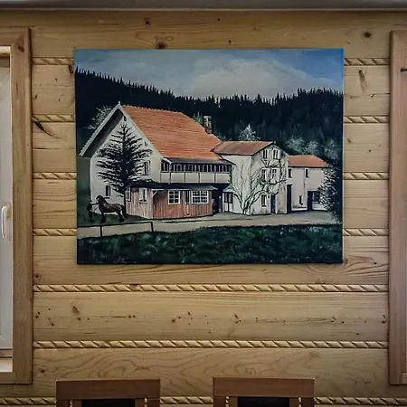 U Bronka דוז'ניקי ז'דרוז'